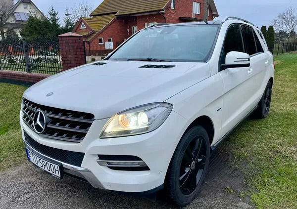 wielkopolskie Mercedes-Benz ML cena 75000 przebieg: 185500, rok produkcji 2011 z Turek